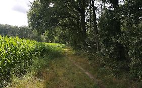 B&B de Koffietuin